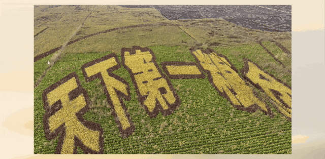 图2.gif